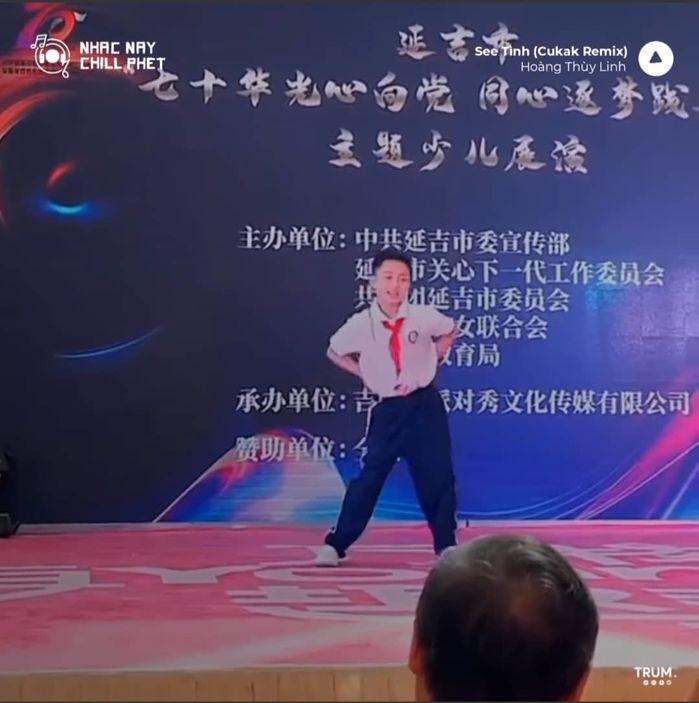 Loạt sao Việt sở hữu siêu hit, làm mưa làm gió khắp xứ Trung-3