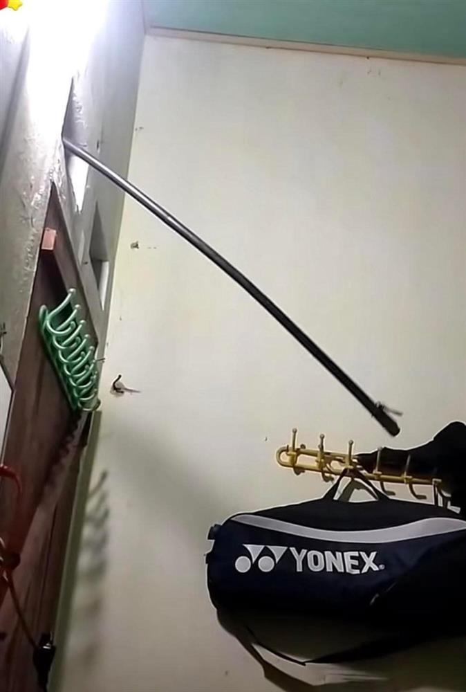 Mở đèn ngủ suốt đêm, nửa khuya giật mình phát hiện cảnh tượng lạ-1