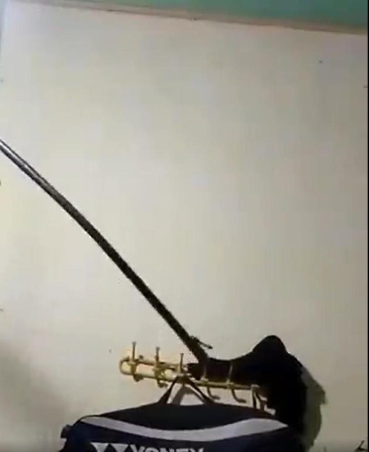 Mở đèn ngủ suốt đêm, nửa khuya giật mình phát hiện cảnh tượng lạ-2