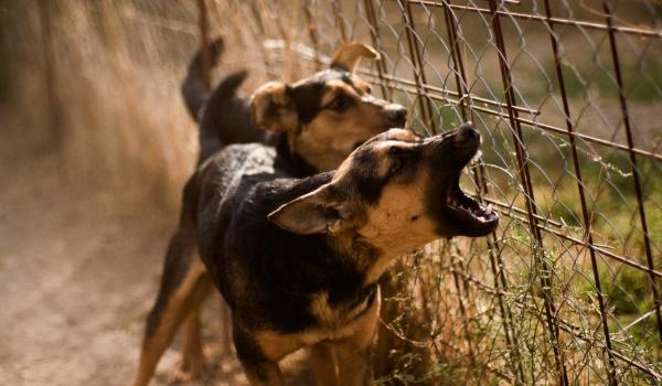 Gia đạo lục đục, của nả tiêu tán cứ nhìn 6 điểm này là biết nguyên nhân-4