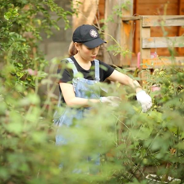 Mỹ Tâm chia sẻ ẩn ý, phải chăng đã chia tay Mai Tài Phến?-4