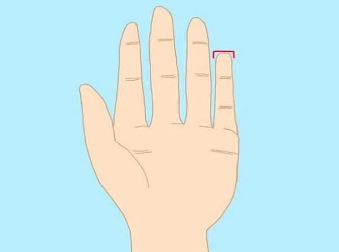 Luận giải tính cách, đoán giàu sang bần hàn chỉ qua ngón tay út-2