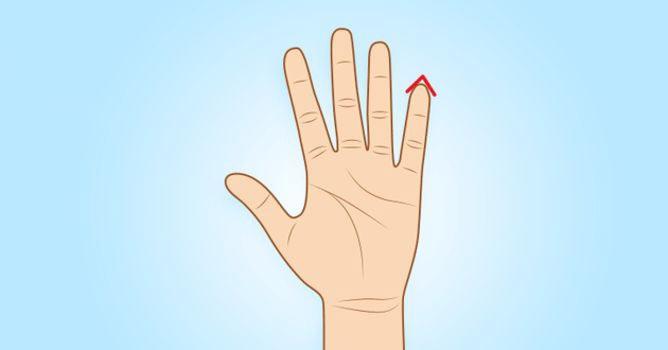 Luận giải tính cách, đoán giàu sang bần hàn chỉ qua ngón tay út-3