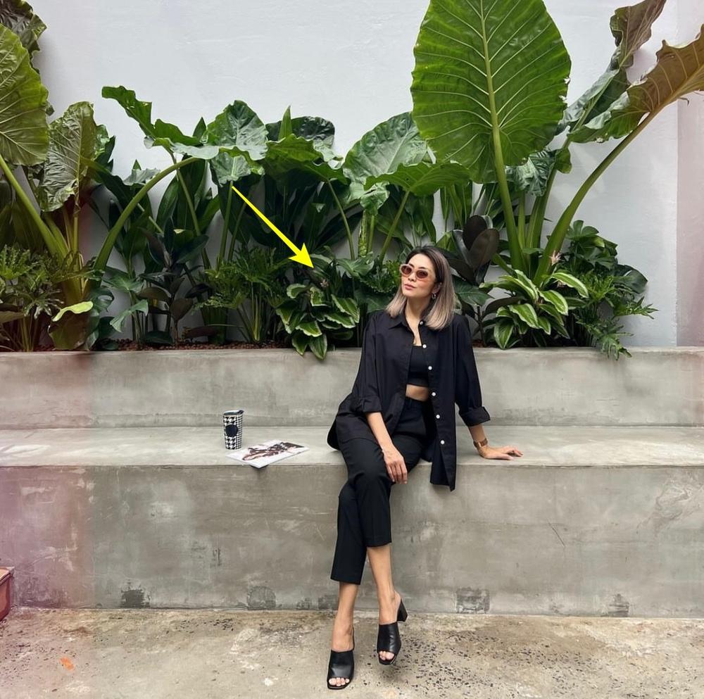 Hương Giang kín đáo sau chia tay Matt Liu - Ngọc Trinh sexy đối lập-3