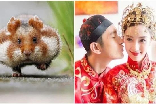 3 con giáp nổi tiếng yêu vợ thương con, tiểu tam xinh đến mấy cũng không có cửa