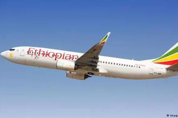 Kỳ lạ phiến đá nở hoa ở Quảng Nam, người dân hiếu kỳ lo hiện tượng thời tiết-6