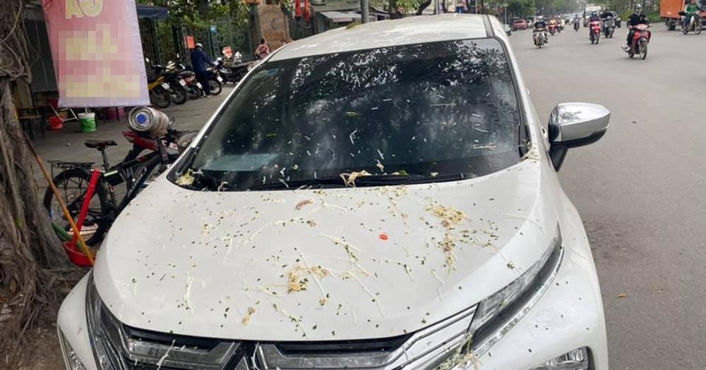 Đỗ ô tô ngang ngược, chủ nhà gọi hẳn xe cẩu đến đem xe đi giấu-3