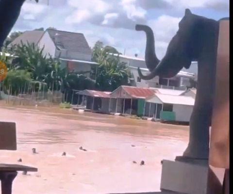 Tìm thấy thi thể người mất tích trong vụ trốn casino ở Campuchia-2