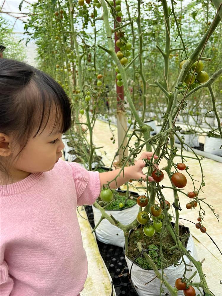 Tin showbiz Việt ngày 20/8: Lê Phương đẹp giữa rừng nhân tạo-5