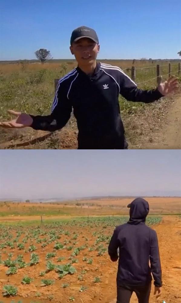 Quang Linh Vlog buồn bã vì thất bại đầu tư ở trang trại tiền tỷ-1