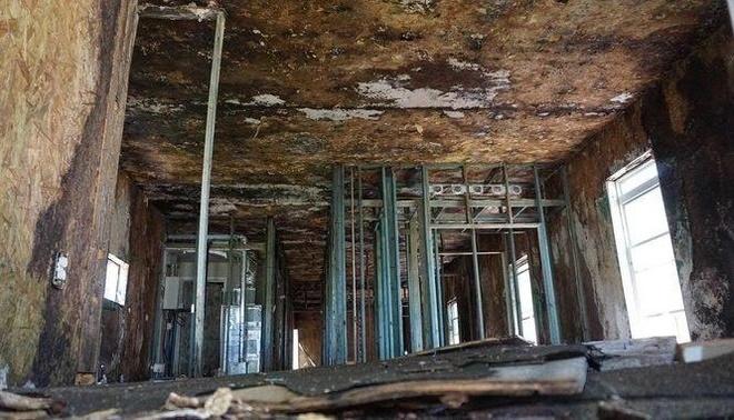 Quỹ từ thiện của Brad Pitt phải bồi thường 20,5 triệu USD-2