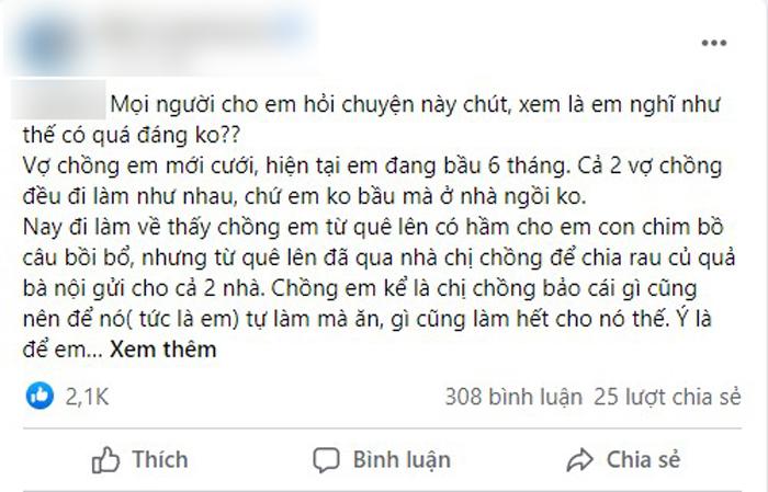 Mang bầu 6 tháng, em dâu ăn con ghẹ cũng bị chị chồng soi mói-1