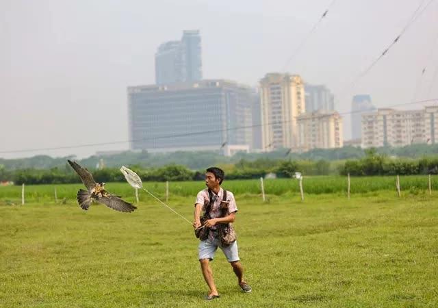 Thú chơi sát thủ bầu trời của giới trẻ Hà Nội-7