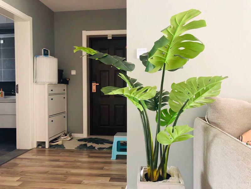 Tam đại sát trước cửa nhà, làm ăn khó phát, gia đạo bất an: Đó là gì?-3