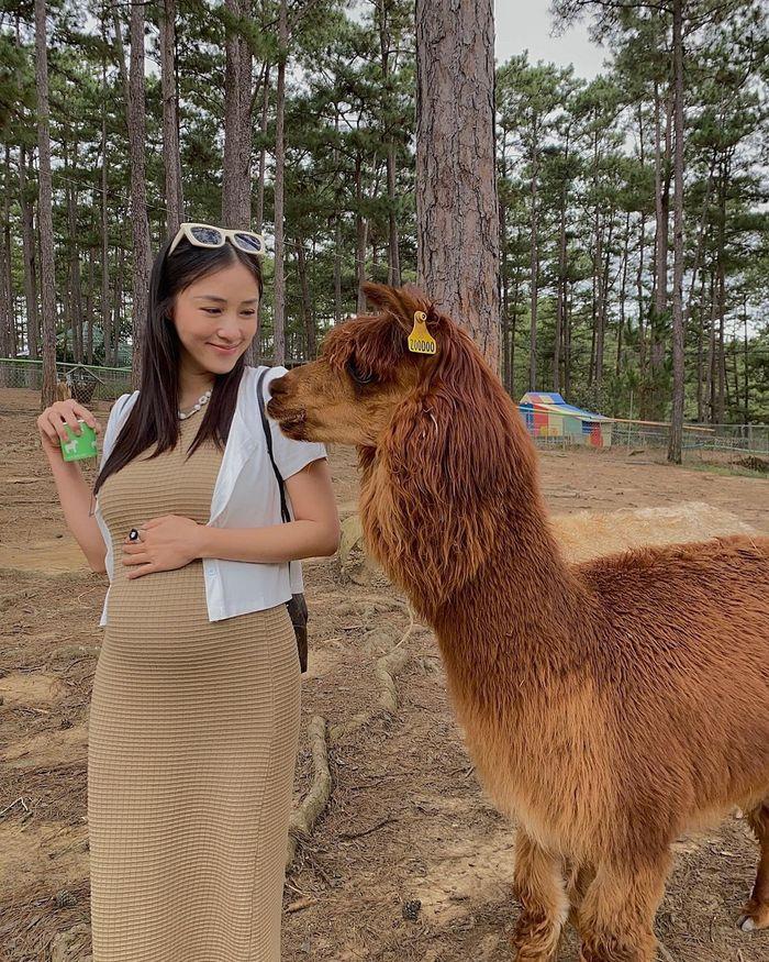 4 mẹ bầu Vbiz có niềm đam mê bất diệt với đầm body sexy-7