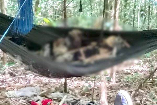 Thi thể người phụ nữ phân hủy dưới cống ở TP.HCM-2