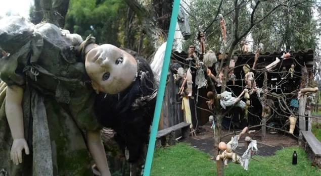 Bí ẩn hòn đảo Mexico đầy rẫy búp bê kỳ dị, ám ảnh mỗi khi ghé thăm-1