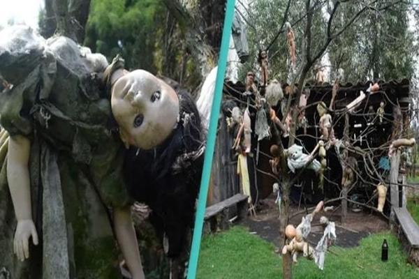 Du khách rung lắc cầu liên tục ở Trung Quốc-1