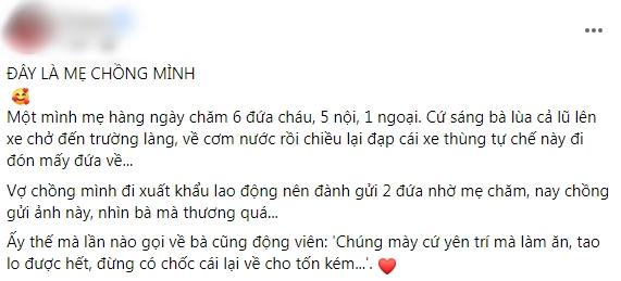 Vợ chồng con trai đi làm xa, mẹ chồng một tay cân cả 6 đứa cháu-1