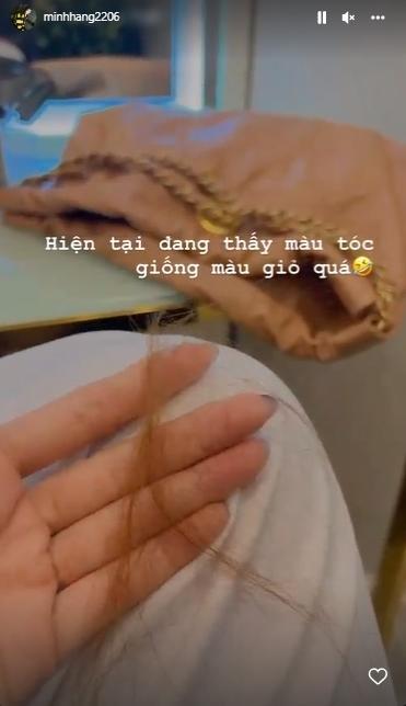 Minh Hằng đổi màu tóc y hệt túi xách 130 triệu đồng-5