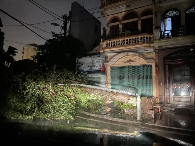 Bão Maon quật đổ cây xanh ở Quảng Ninh, Hải Phòng ngập nhiều tuyến phố-3