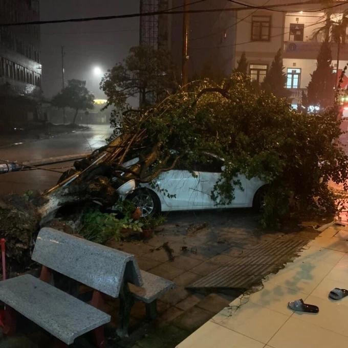 Bão Maon quật đổ cây xanh ở Quảng Ninh, Hải Phòng ngập nhiều tuyến phố-4