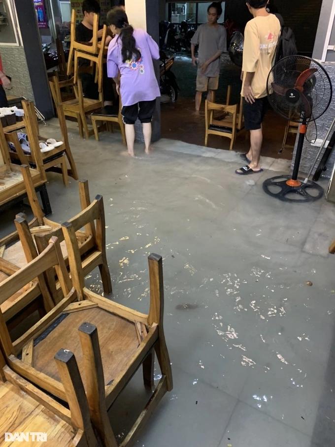 Bão Maon quật đổ cây xanh ở Quảng Ninh, Hải Phòng ngập nhiều tuyến phố-10