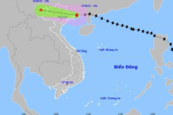 Bão Maon quật đổ cây xanh ở Quảng Ninh, Hải Phòng ngập nhiều tuyến phố-12