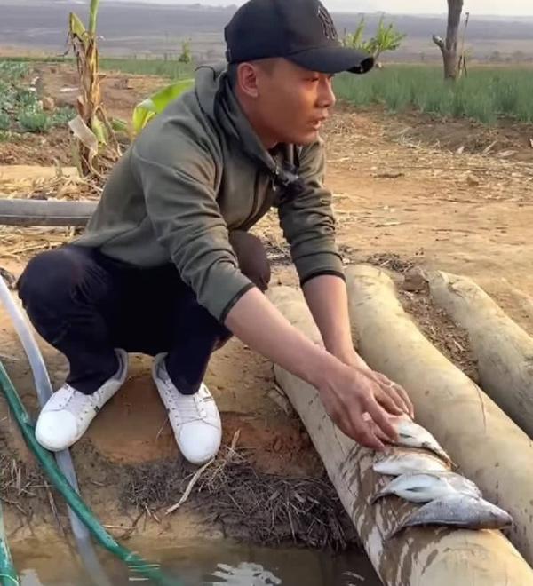 Quang Linh Vlog buồn bã vì thất bại đầu tư ở trang trại tiền tỷ-6