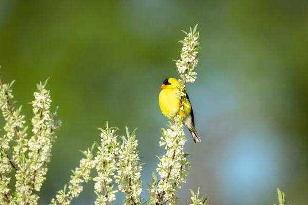 Ai sinh tháng Âm lịch này có quý nhân giúp, gặp hung hóa cát-5