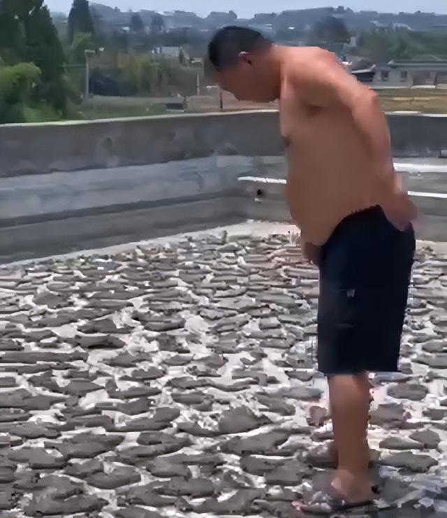 Đi vắng nửa tháng, người đàn ông giật nảy vì hồ cá cạn cháy nước-2