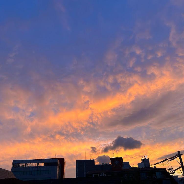 Visual Kim Bum và Lee Min Jung sau 13 năm vẫn khiến fan chao đảo-4