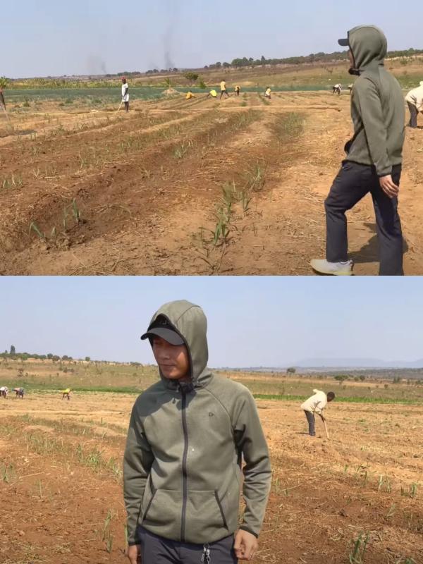 Quang Linh Vlog phấn khởi thu lãi to sau khi tậu trang trại 4,3 tỷ-5