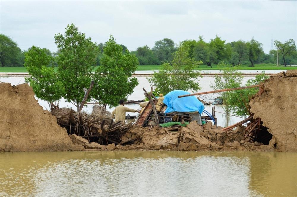 Thảm họa hơn 1.000 người chết khiến Pakistan cầu cứu thế giới-11