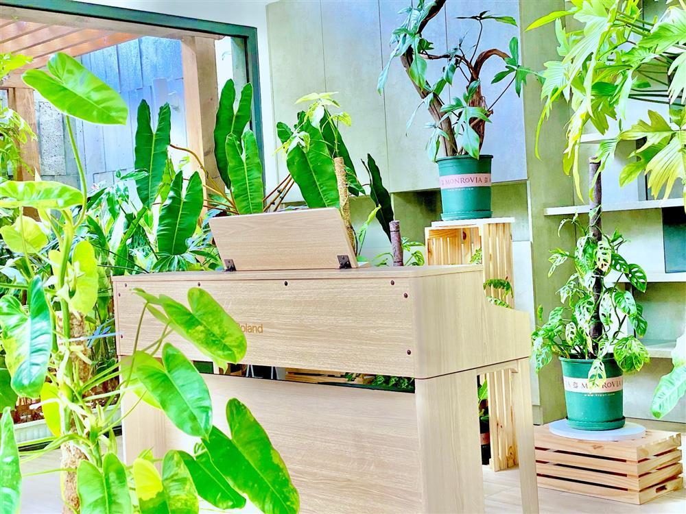 Biệt thự hoành tráng xanh mướt của ông hoàng nhạc sầu Mr.Siro-8