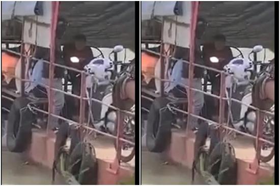 Ớn lạnh bé 10 tuổi ôm vô lăng phà chở khách qua sông