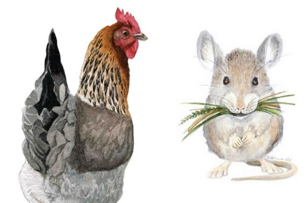 Cổ nhân dạy: 6 lời nói họa vô đơn chí, cạn kiệt phúc phần, dại gì nói ra-4