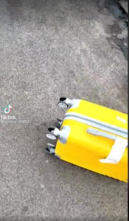 Thuê xe Đà Lạt, cô gái tá hỏa khi thấy rắn độc núp suốt chuyến đi-3