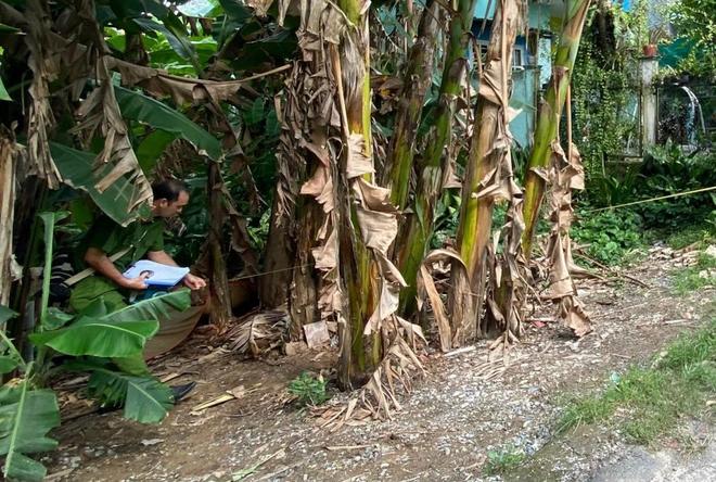 Con trai đâm chết cha dượng, mẹ đưa đi đầu thú-2