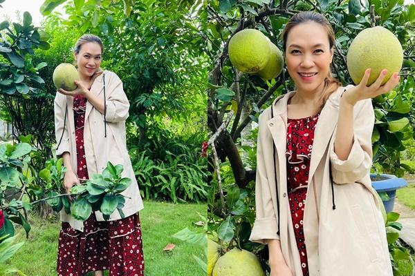 Mỹ Tâm khoe eo thon, bụng phẳng lì đập tan tin đồn có bầu-15