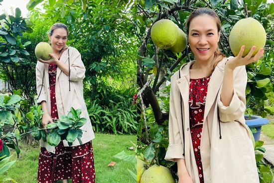 Mỹ Tâm lộ bụng chuẩn bà bầu?