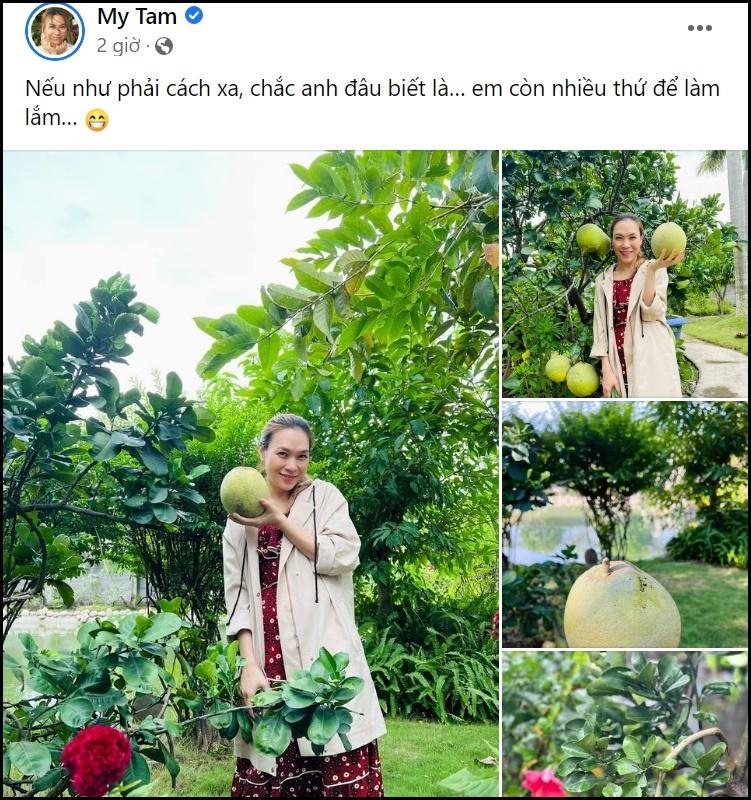 Mỹ Tâm lộ bụng chuẩn bà bầu?-1