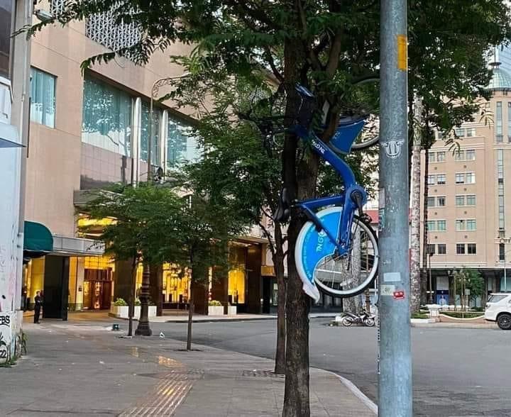 Xe đạp công cộng ở TP.HCM lại bị treo vắt vẻo trên cành cây-1