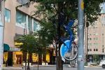 Xe đạp công cộng ở TP.HCM lại bị treo 'vắt vẻo' trên cành cây
