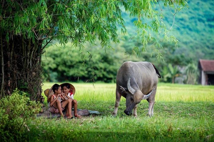 4 con giáp dở ngoại giao, kém ăn nói dễ gây mất lòng người xung quanh-2