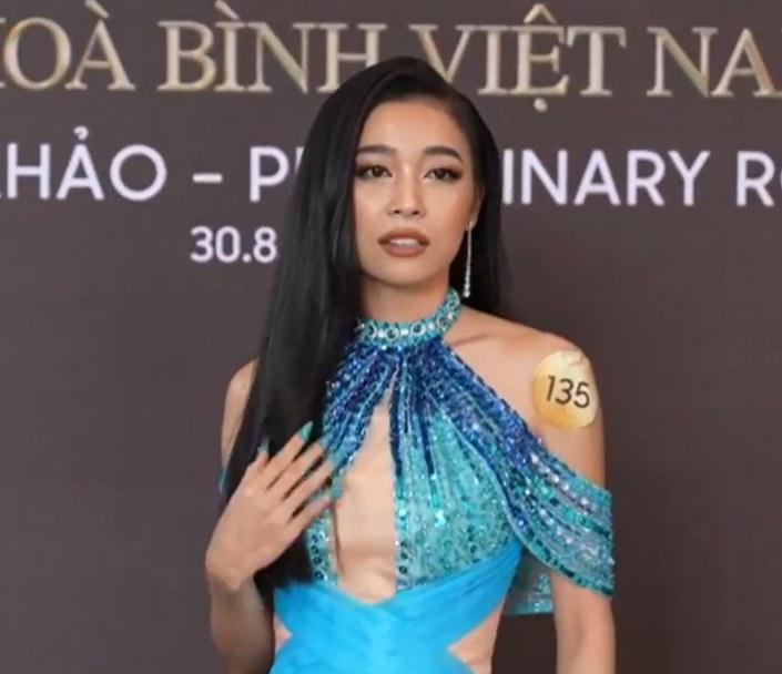 Thi Miss Grand Vietnam, diễn viên nổi tiếng bị bash ngay thảm đỏ-4
