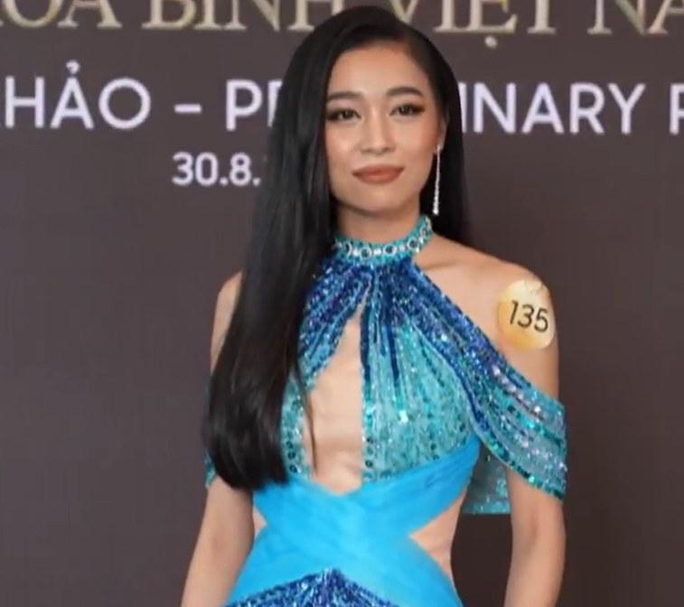 Thi Miss Grand Vietnam, diễn viên nổi tiếng bị bash ngay thảm đỏ-3