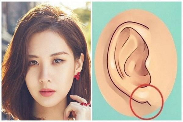 Sự khác biệt giữa tai của người nghèo và tai của người giàu-7