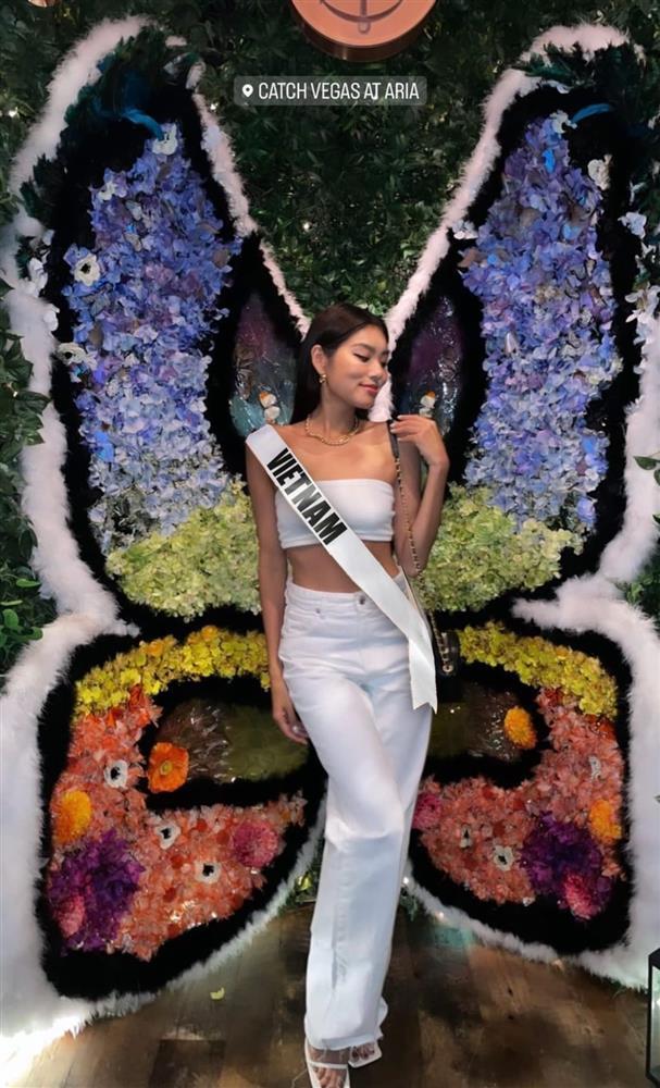 Ngóng Thảo Nhi Lê thi Miss Universe, dân mạng trao sash luôn-5