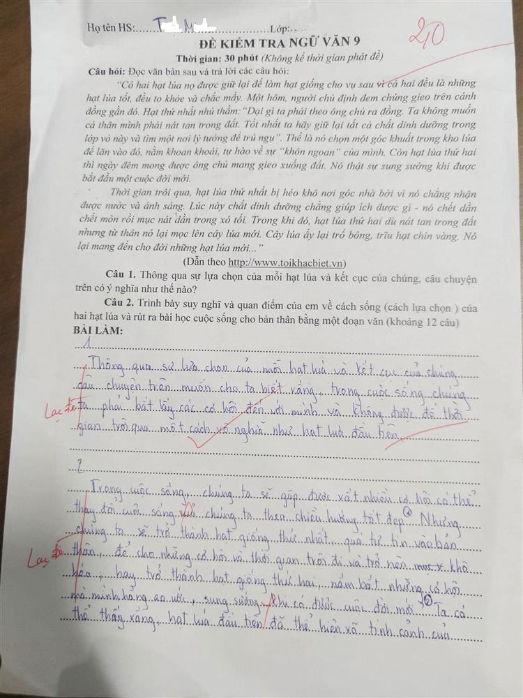 Con trai được 2 điểm, mẹ phản ứng khiến nhiều phụ huynh thức tỉnh-1